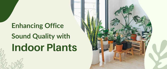 Green Acoustics: Enhancing Office Sound Quality with Indoor Plants