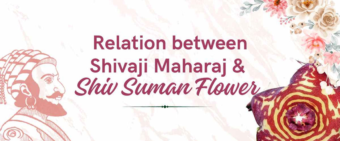 Relation Between Shivaji Maharaj and Shiv Suman Flower