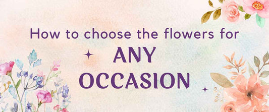 How to Choose the Perfect Flowers for Almost Any Occasion?