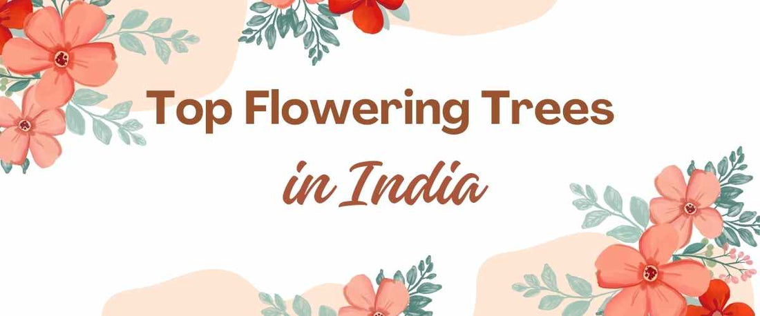 The Top Flowering Trees in India for Your Garden