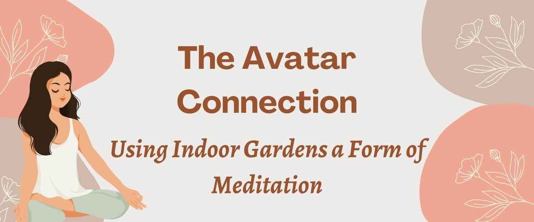 The Avatar Connection: Using Indoor Gardens as a Form of Meditation