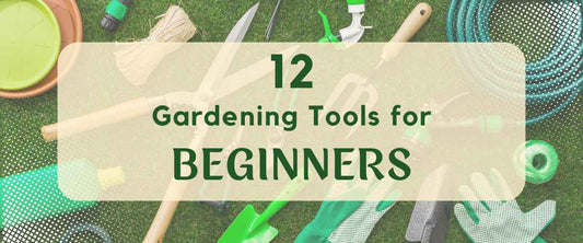 12 Essential Gardening Tools for Beginners in 2024