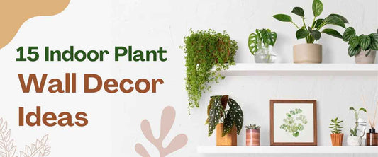 15 Indoor Plant Wall Decor Ideas