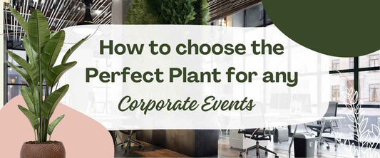 How to Choose the Perfect Plant Gift for Any Corporate Event