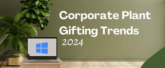 Corporate Plant Gifting Trends in 2024