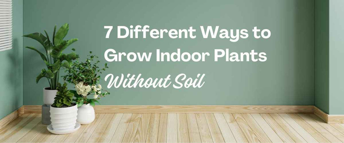 7 Different Ways To Grow Indoor Plants Without Soil