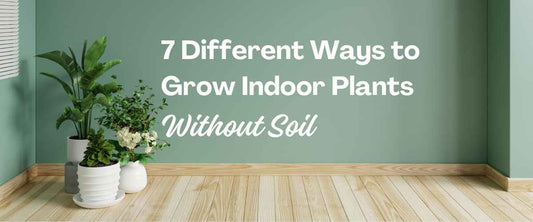 7 Different Ways To Grow Indoor Plants Without Soil