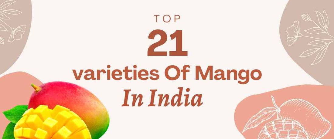 The Top 21 Verities of Mango in India