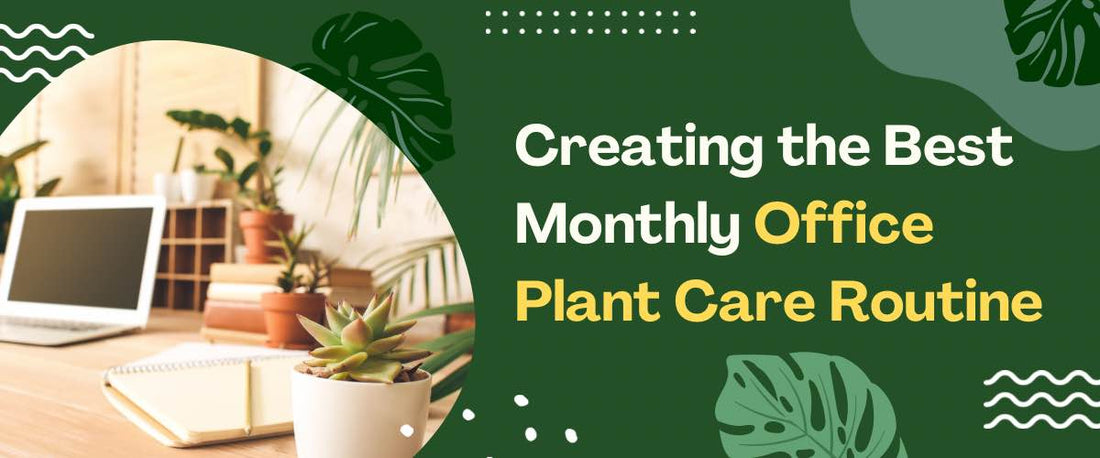 Creating the Best Monthly Office Plant Care Routine