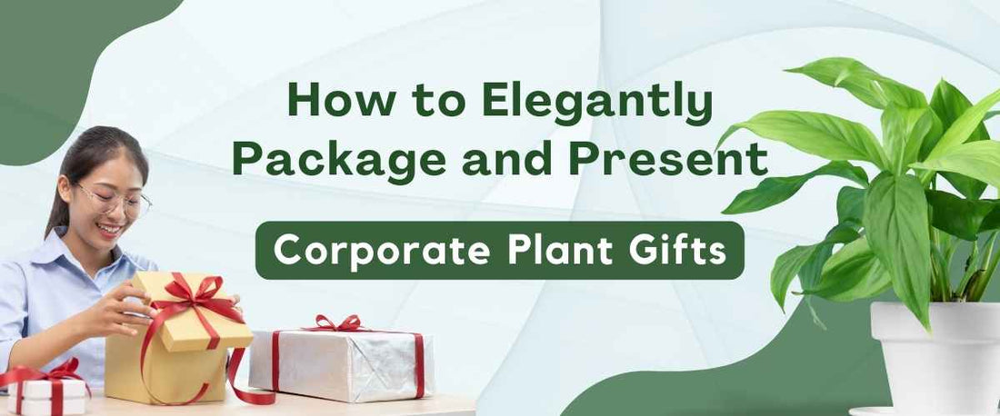 How to Package and Present Corporate Plant Gifts Elegantly