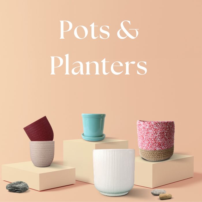 Pots & Planters – Greenkin
