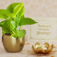Wedding Return Gifts for Bride / Groom Guests Hamper with Plant, Diya