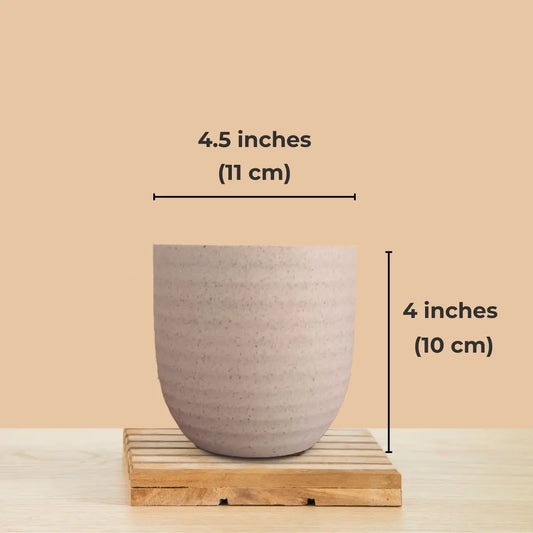 Indoor Small Pots (Cream) - Set of 3