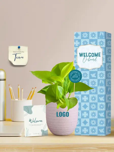 desk plants as unique employee welcome gifts