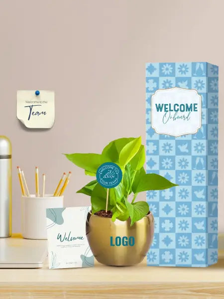 easy care plants for employee welcome and onboarding gifts