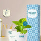 easy care plants for employee welcome and onboarding green gifts