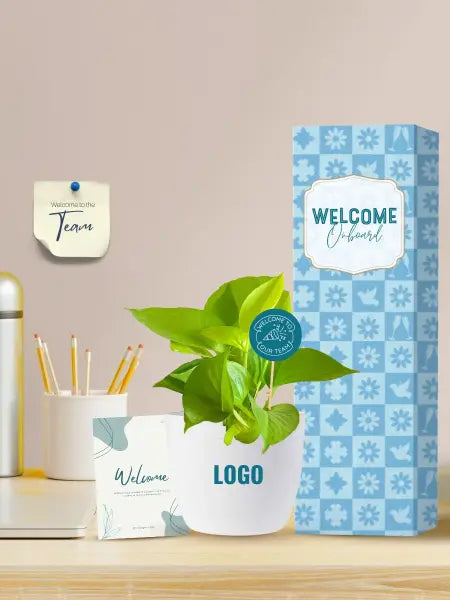 easy care plants for employee welcome and onboarding green gifts