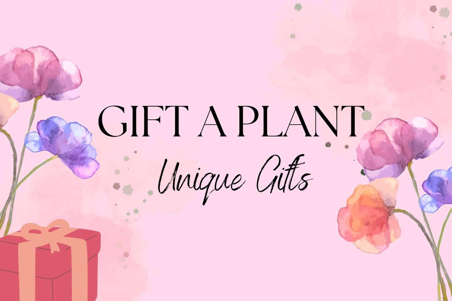 Plants for Gifting