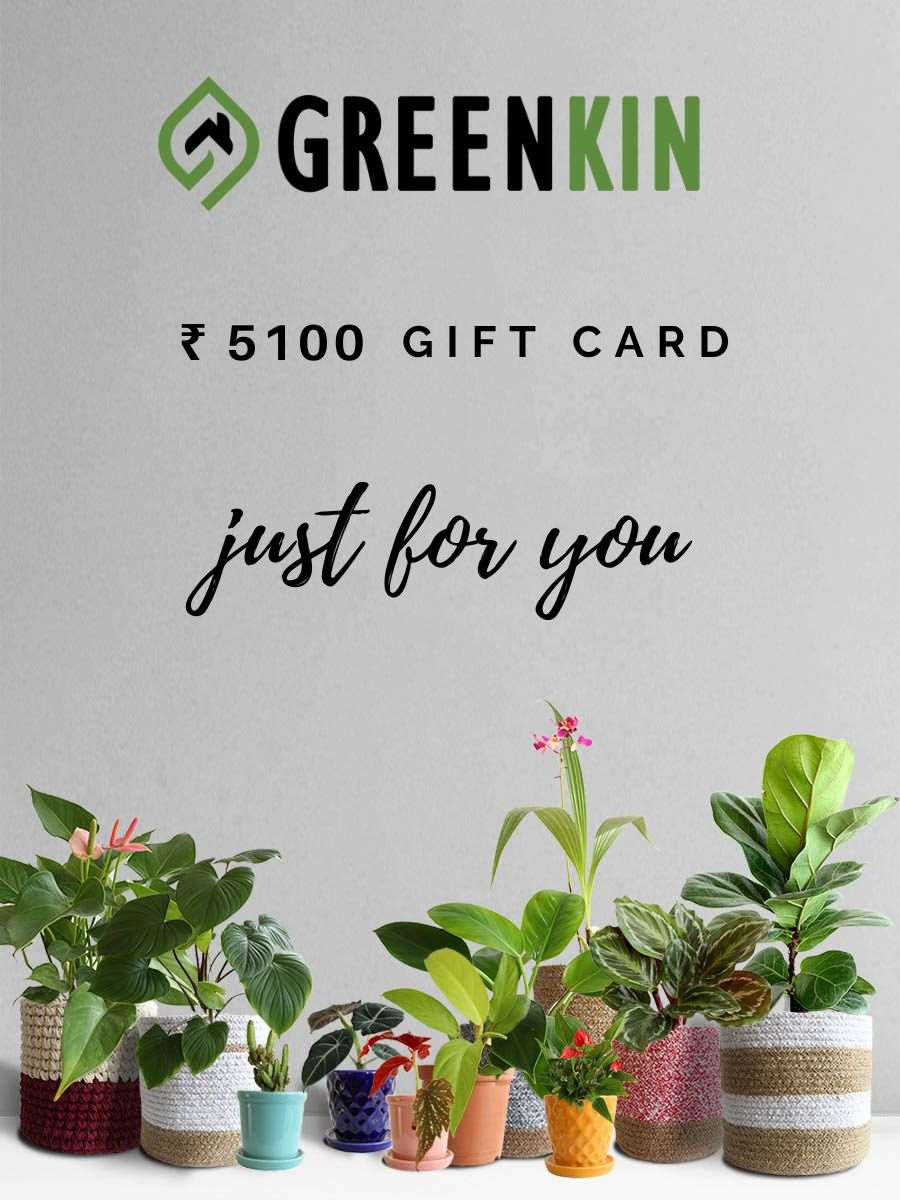 Greenkin E-Gift Card