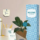 medium size indoor plants for positive new employee