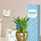 stylish desk plants for new employee welcome