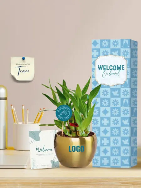 stylish desk plants for new employee welcome