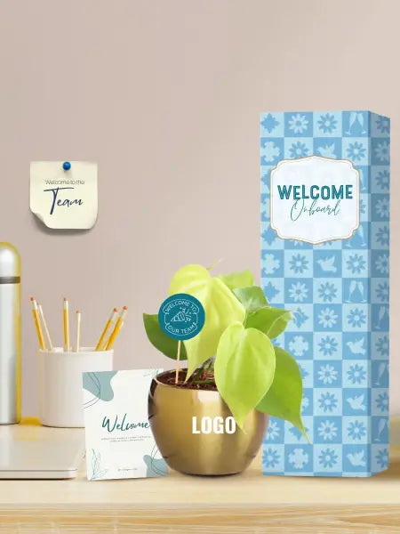 stylish indoor plants for new employee welcome presents