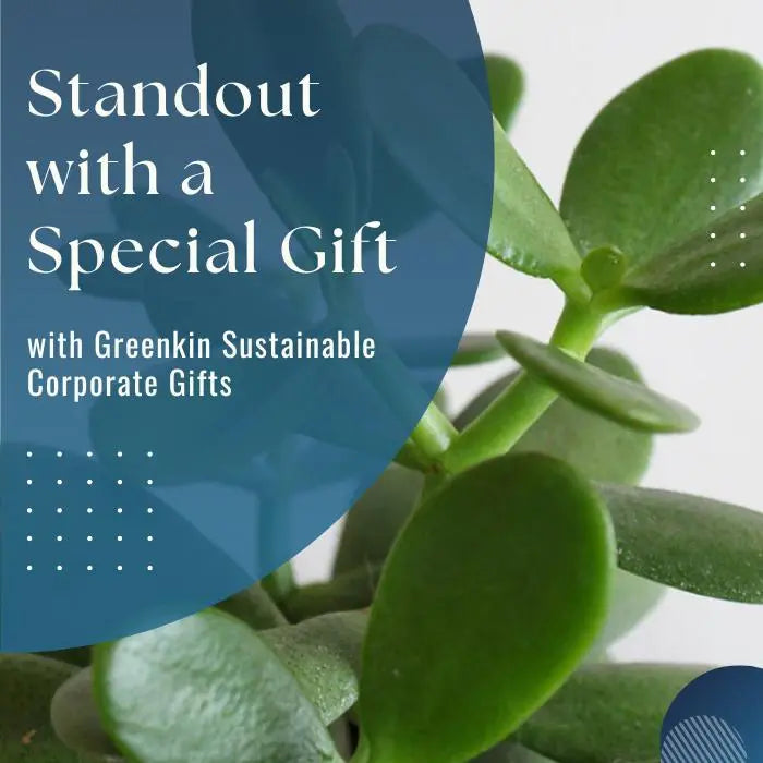 Bulk Gift Plants to Employees for Corporate Gifting