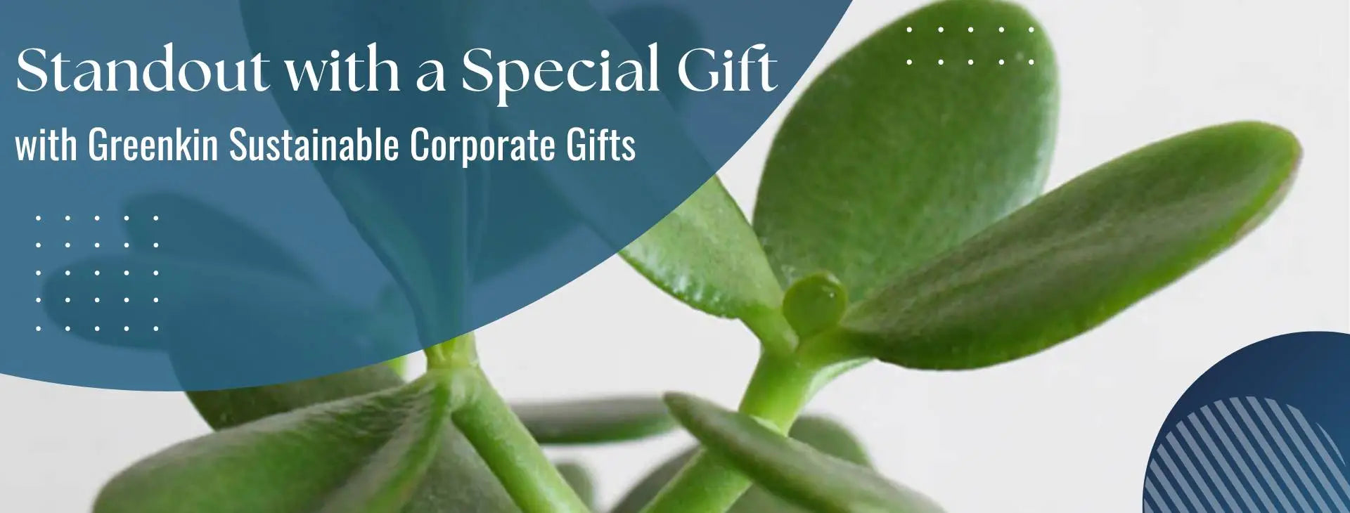 Best Sustainable Corporate Gifts from Greenkin