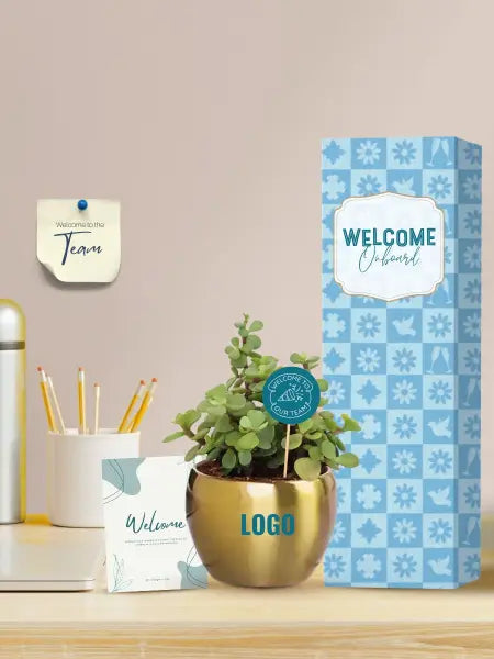 sustainable office plants for onboarding gifts