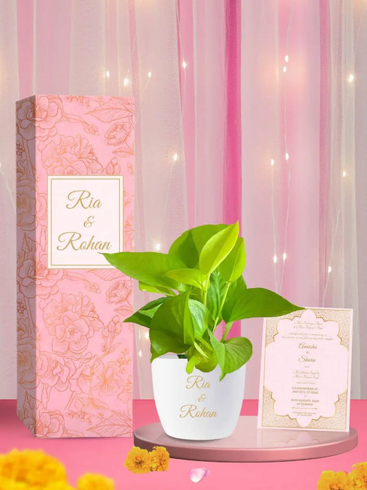 wedding invitation gift adorable money plant