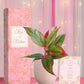 wedding gifts plants aglaonema