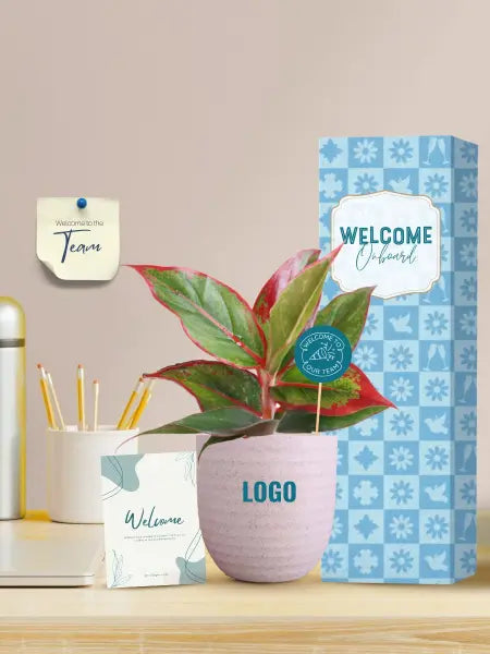 welcome gifts with sustainable indoor plants for new employees