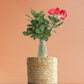 Buy Adenium Desert Rose Online in Jute Yellow Planter