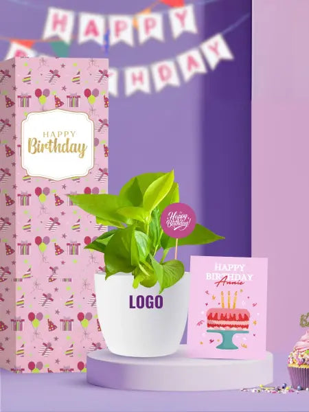 affordable green plant gifts for employee birthday celebrations