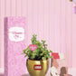 affordable green plants for corporate women's day gifts