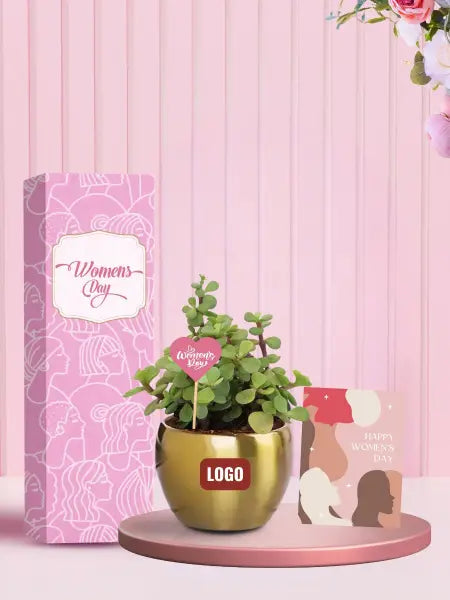 affordable green plants for corporate women's day gifts