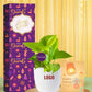 affordable potted plants for diwali office gifting