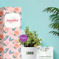 affordable potted plants for event giveaways