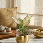 Aglaonema Wishes Plant in 4" Golden Metal Pot