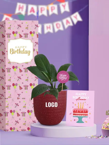 air purifying plants gifts for employee birthday