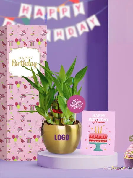 bamboo plants for sustainable employee birthday gifting