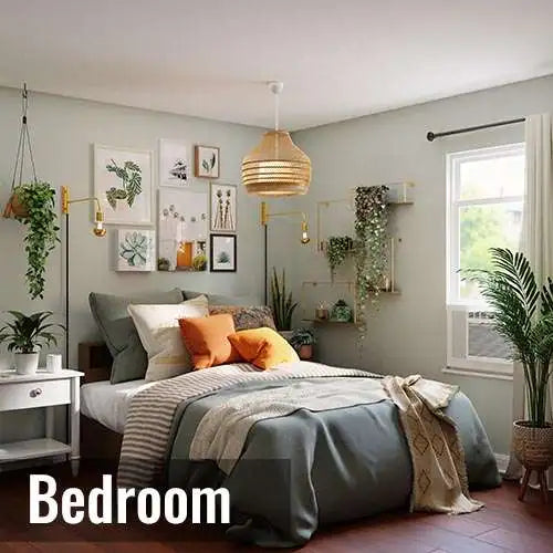 Buy beautiful indoor plants for bedroom that promote better sleep