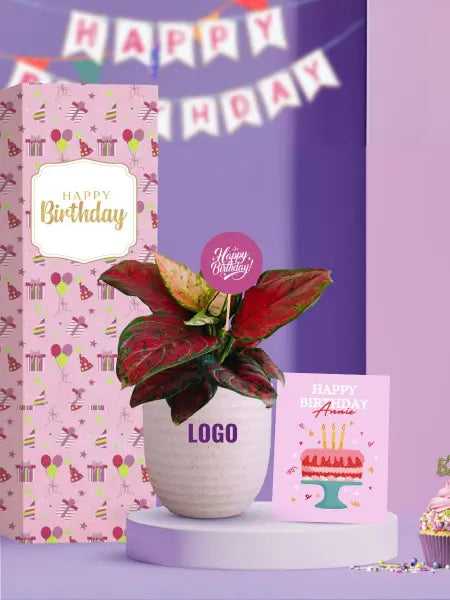 celebrate workplace birthdays with premium living plant gifts