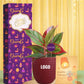 chic desk plants to celebrate diwali with gratitude