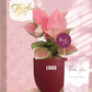 corporate gifts with long lasting plants for client growth