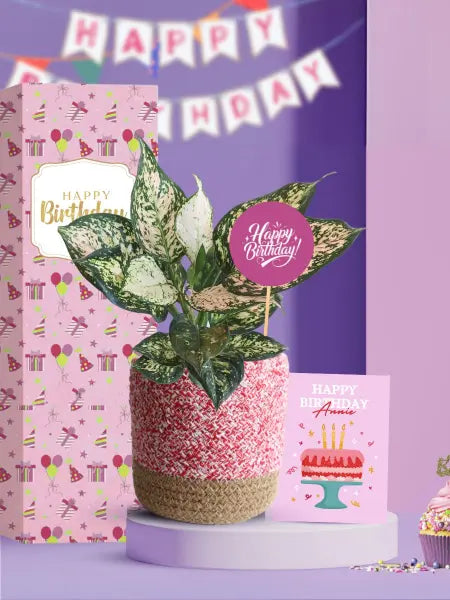 creative birthday gifting options with living plants for employees