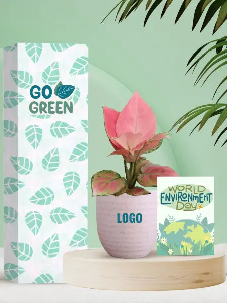 custom branded indoor plants for earth day office events