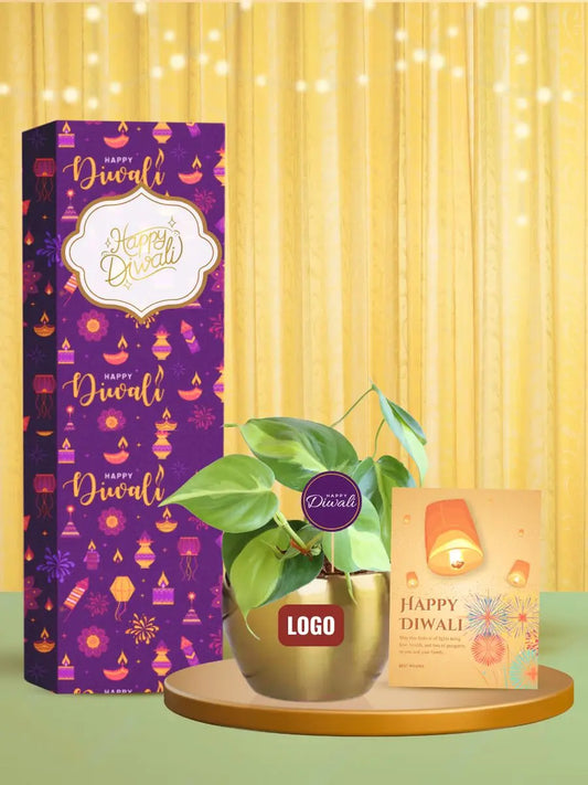 custom potted plants with company logo for diwali gifts