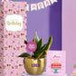 easy to care for indoor plants for employee birthdays